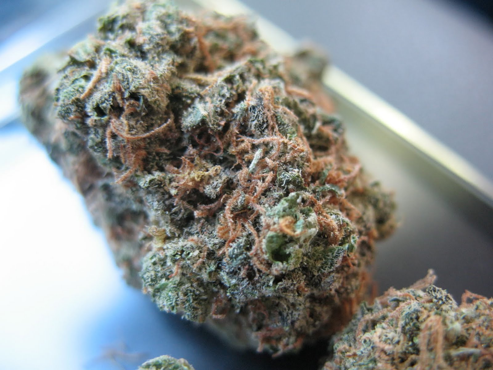 Super Dank Weed Got Weed?