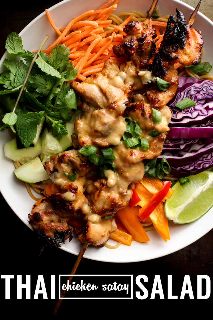 Club Narwhal THAI CHICKEN SATAY NOODLE SALAD WITH CREAMY COCONUT