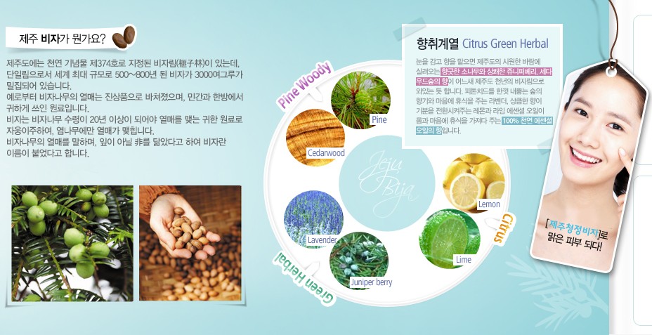 fermosa house innisfree jejubija anti trouble spot essence r fermosa house innisfree jejubija anti trouble spot essence r