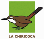 La Chiricocoa