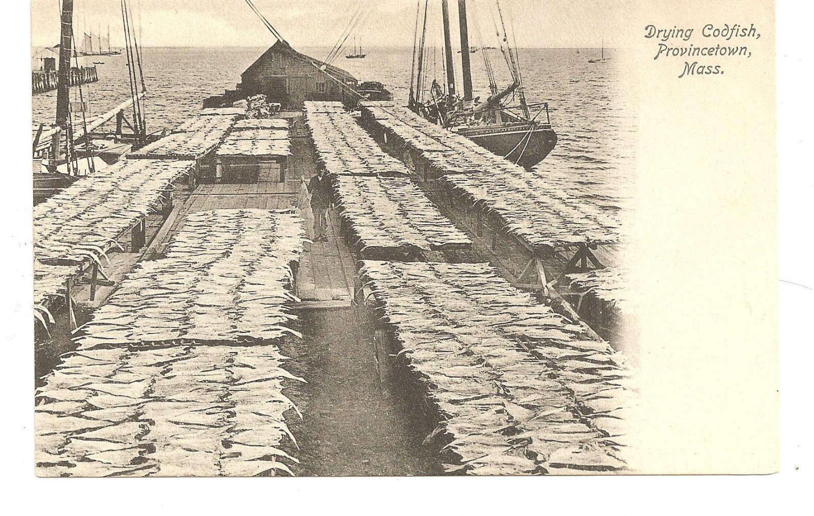 TheYearRounder's Guide to Provincetown Vintage Postcards and Photos Reveal Provincetown's Rich