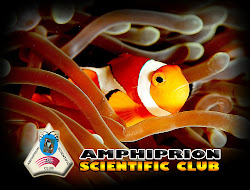 AMPHIPRION SCIENTIFIC CLUB