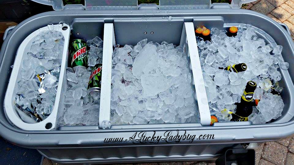 A Lucky Ladybug Party Hard w/ Igloo® Party Bar™ Review