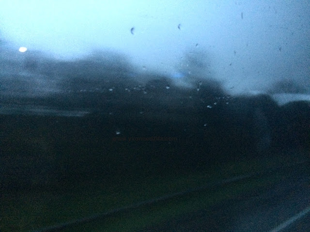 Early Morning Road Trip