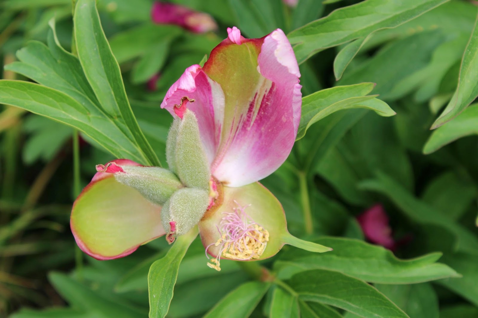 The Monument To The Battle Of Nations The Biggest Monument In