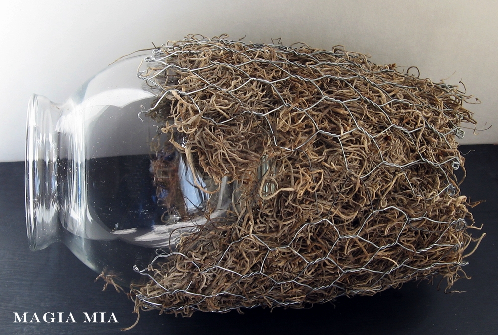 Magia Mia Chicken Wire, Moss, & Glass Globe Vases