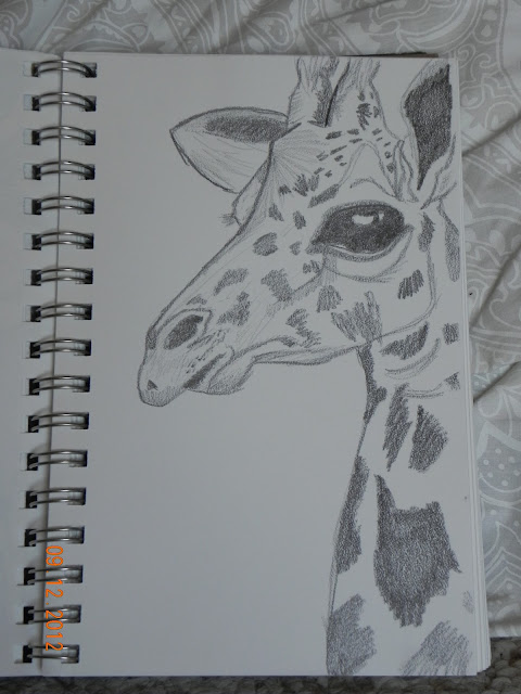 art pencil drawing giraffe calf drawing with pencil