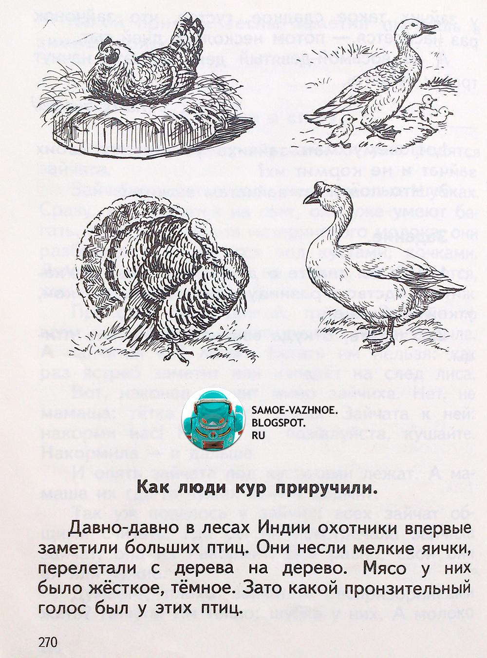 Из фотографий на день рождения своими руками Из фотографий на день рождения своими руками