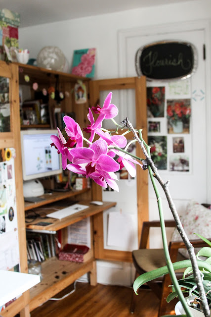 orchids, studio, work space, desk, inspiration, Anne Butera, My Giant Strawberry