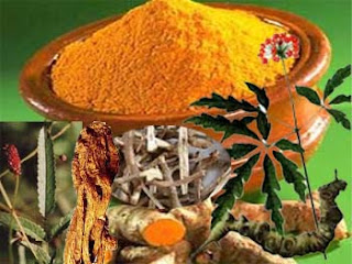 BÀI THUỐC BÍ TRUYỀN CHỮA BỆNH TRĨ CỦA NGƯỜI H'MÔNG