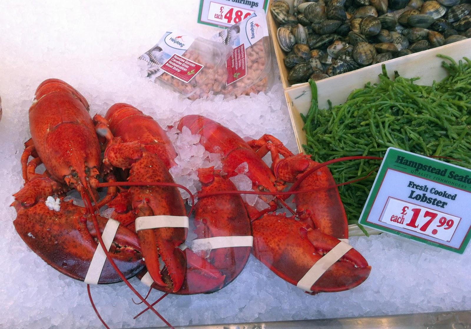 megmade He's her Lobster... Gordon Ramsay's Grilled Lobster