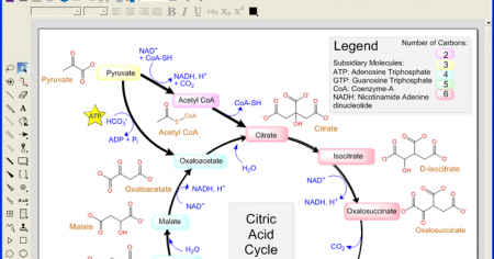 chembiodraw ultra 13.0 suite 17