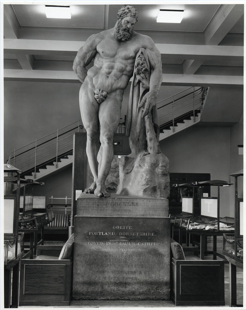 BGS Geoheritage images from the collections Hercules and his fig leaf