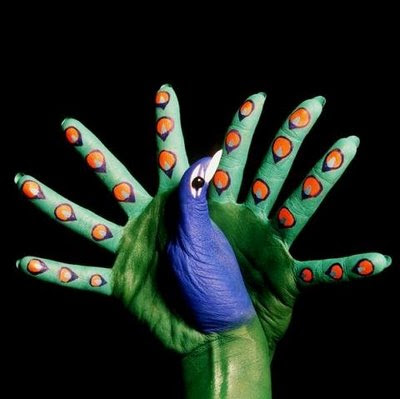 ShugaL MeLaa: Amazing Finger