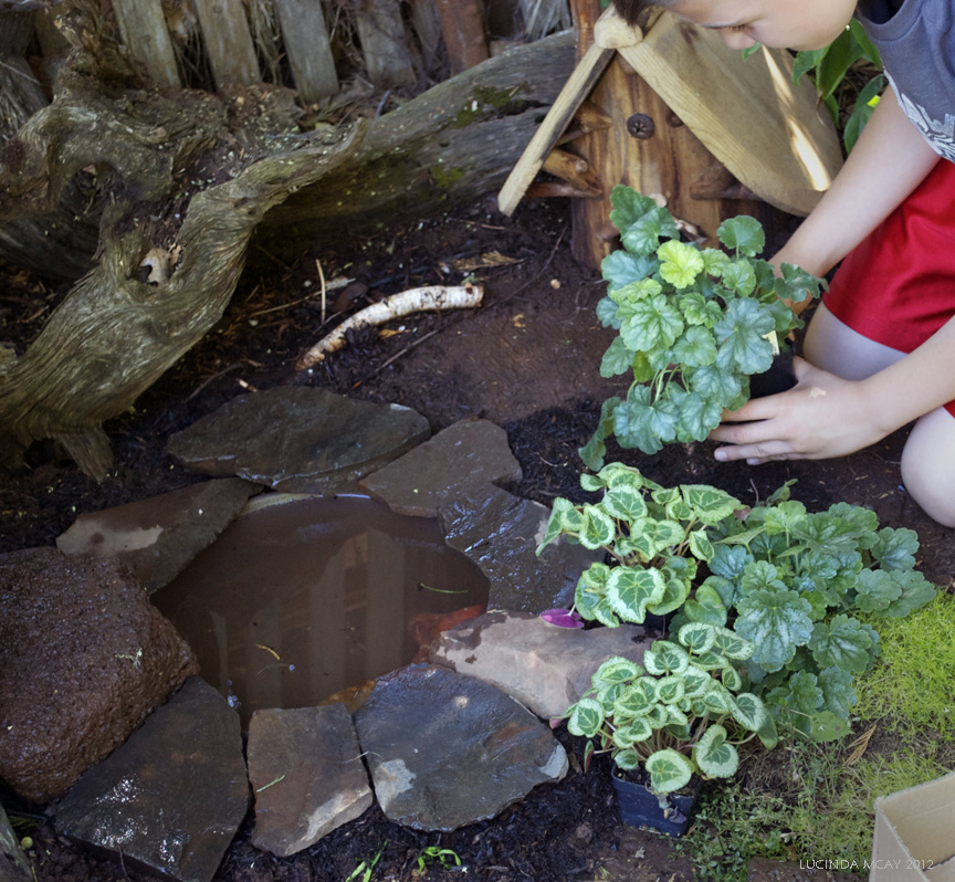 Willodel MAKING A GARDEN TOAD HABITAT TUTORIAL