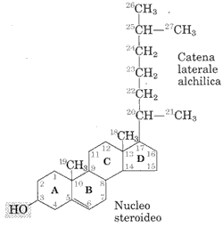 7 incredibili proteine con steroidi hack