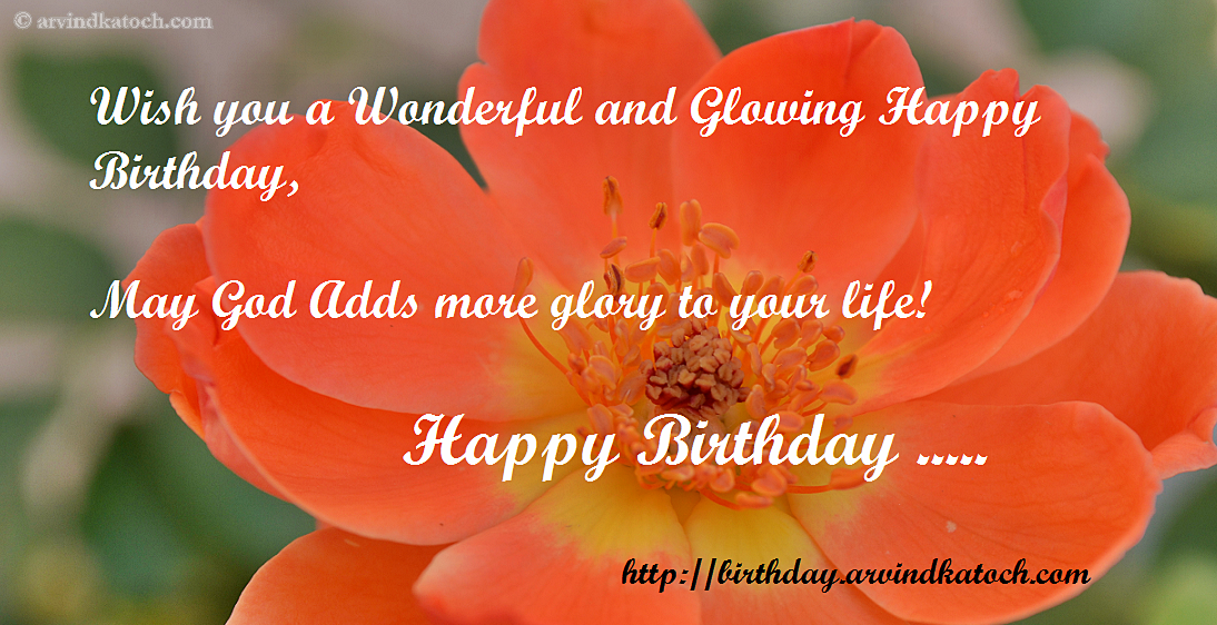 True HD Picture Birthday Card to Wish a Wonderful Birthday True