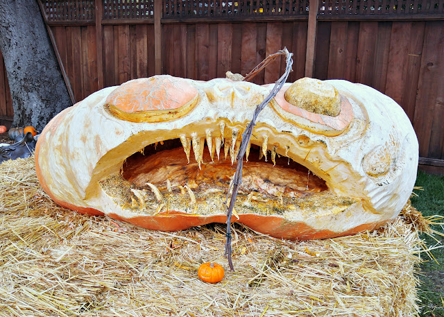 giant pumpkins at Marissa Mayer's home Halloween