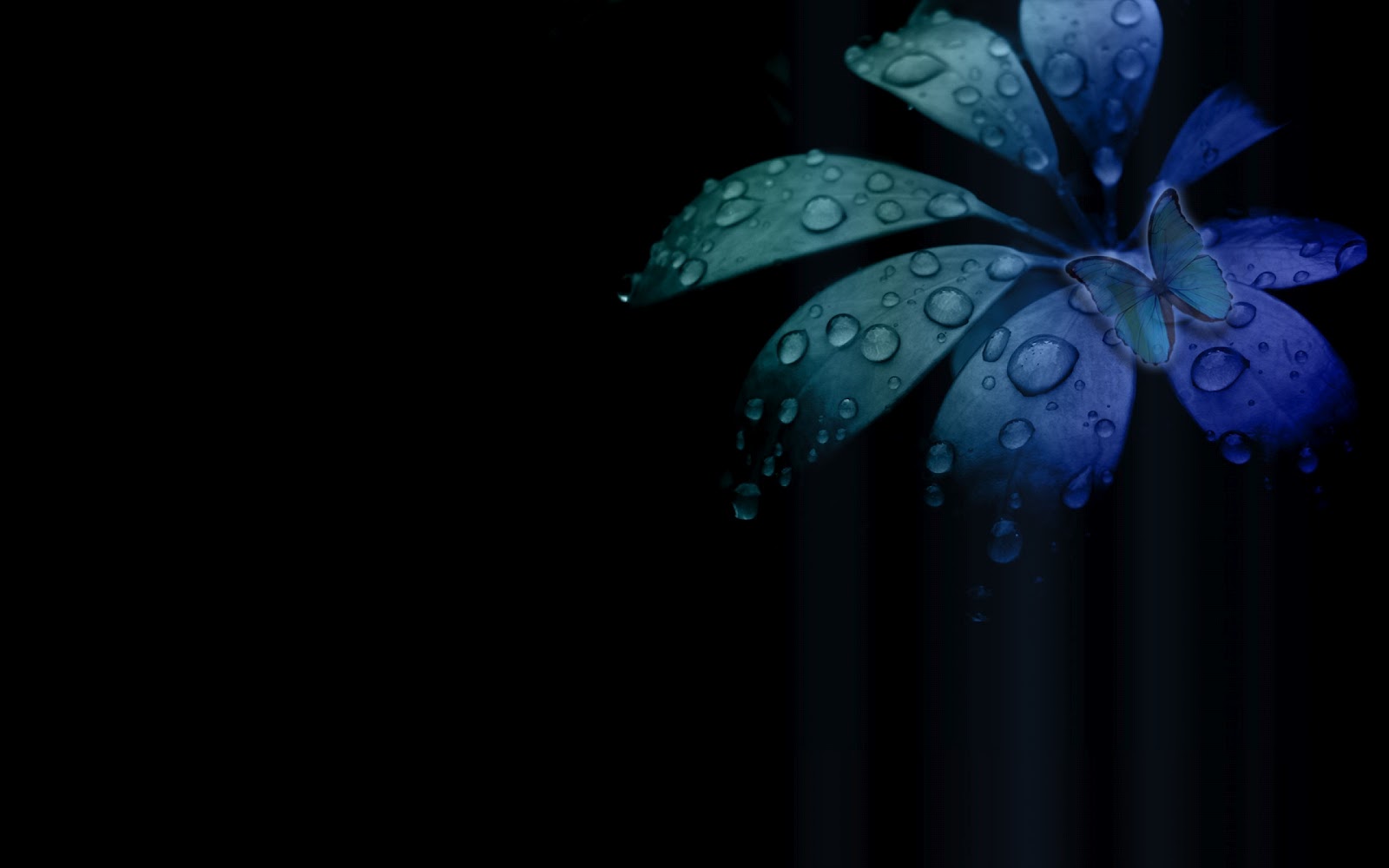 Desktop Wallpaper Free Download Desktop Wallpaper Free Download