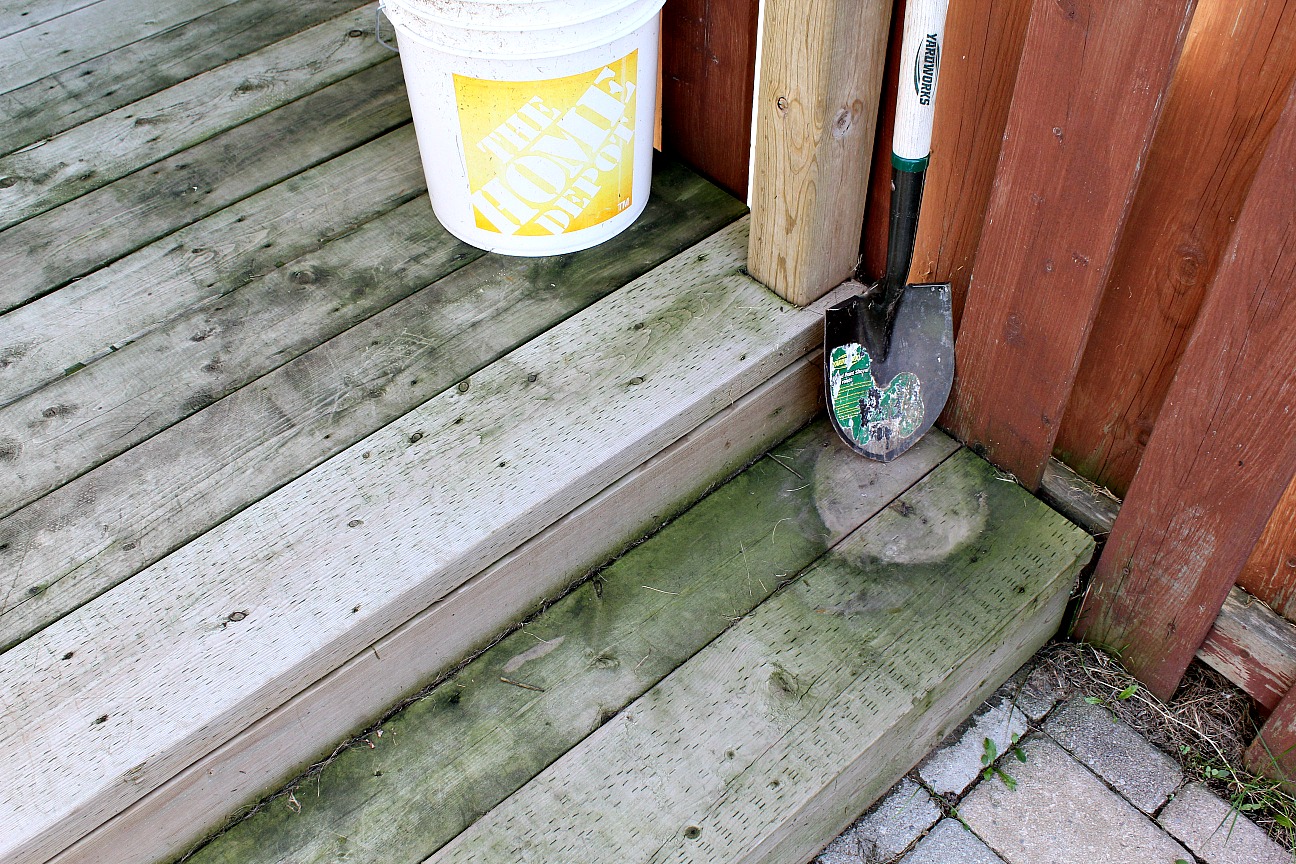 Turtles and Tails Deck Cleaning (Algae is Not Your Friend)
