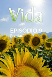 Capa do Filme Vida – Episódio 9: Plantas (Legendado) Baixe imagem de Vida – Episódio 9: Plantas (Legendado) sem Torrent