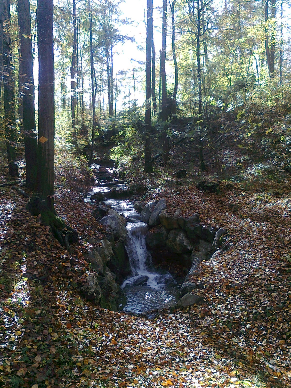 Der Bewusste Freigeist 2012