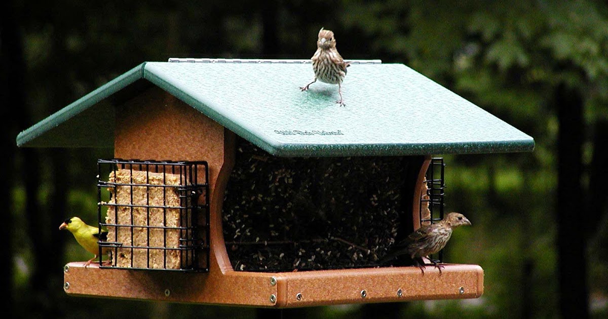 Wild Birds Unlimited Best Large Capacity Bird Feeder