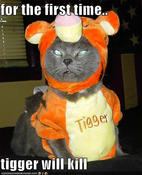 tigger+kill.jpg
