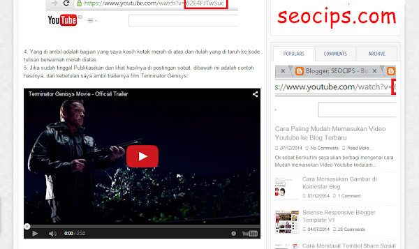 Video Youtube di Postingan Cara Memasukan Video Youtube ke Postingan Blog