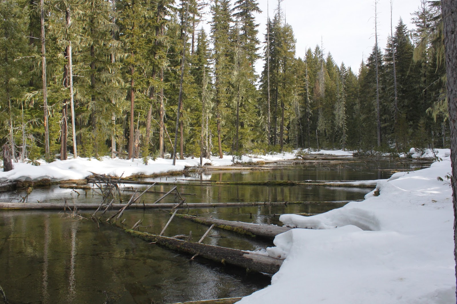 Richard Hikes Clearwater Falls