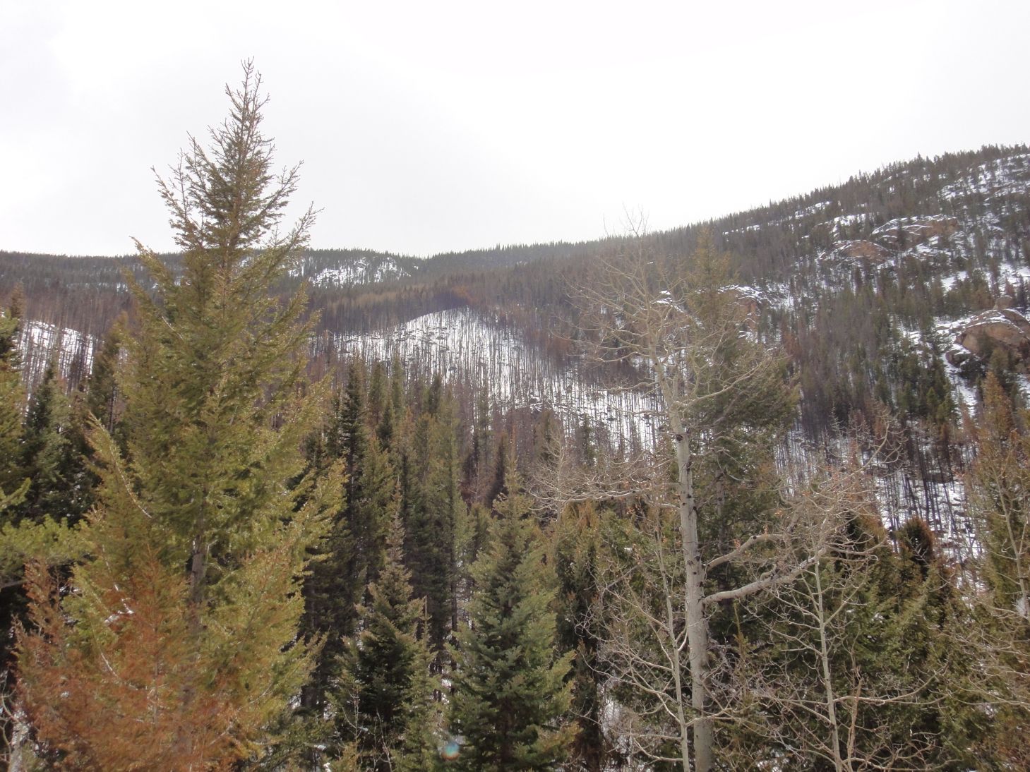 Hiking Rocky Mountain National Park Spruce Lake in the winter.