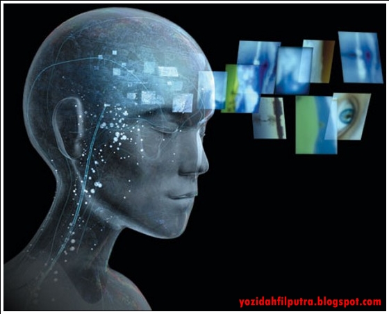 http://2.bp.blogspot.com/-_YCbR66M1B8/UTF58zcIEuI/AAAAAAAADW4/GSzZ6lFrt1k/s1600/Misteri+otak+manusia+2-yozidahfilputra.blogspot.com.jpg