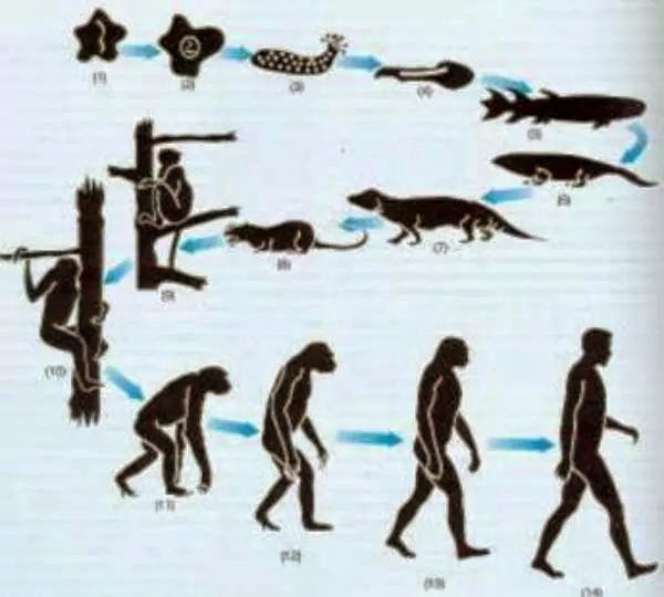 LA TEORÍA DE LA EVOLUCIÓN, MITO O VERDAD CIENTÍFICA?