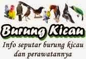 Suara burung kicau