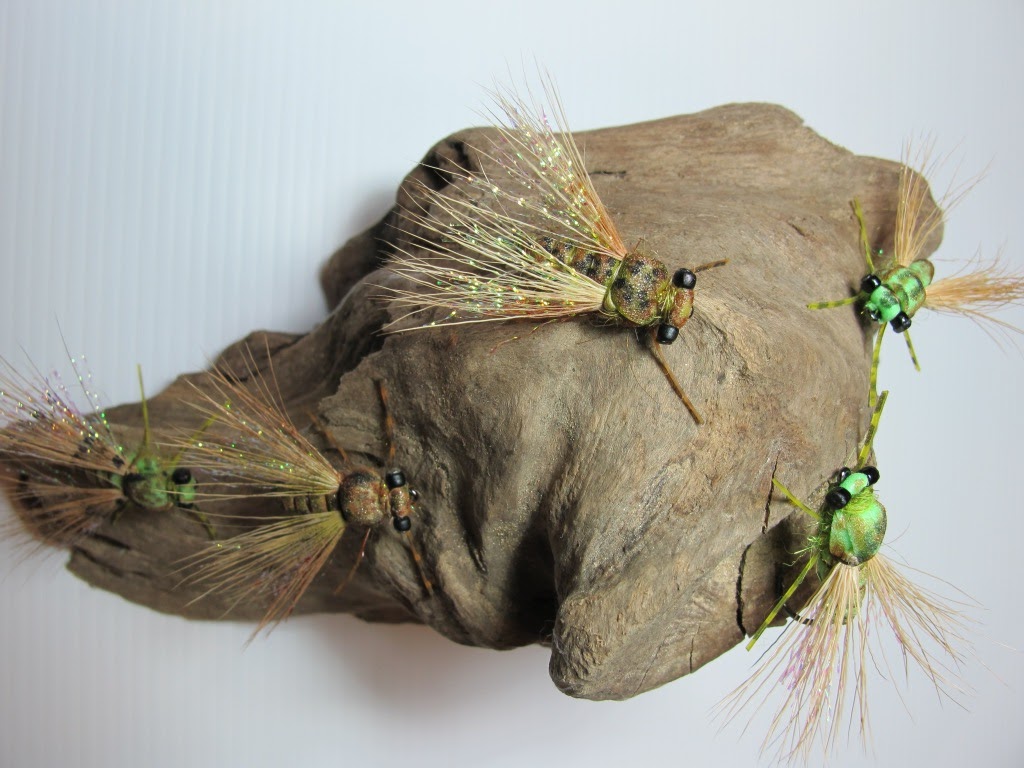 fly tying nation foamular of the cicada x cicada size