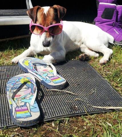 Laia al sol Laia al sol