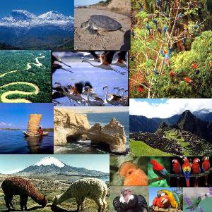 Recursos Naturales Renovables Y No Renovables Del Peru Ejemplos