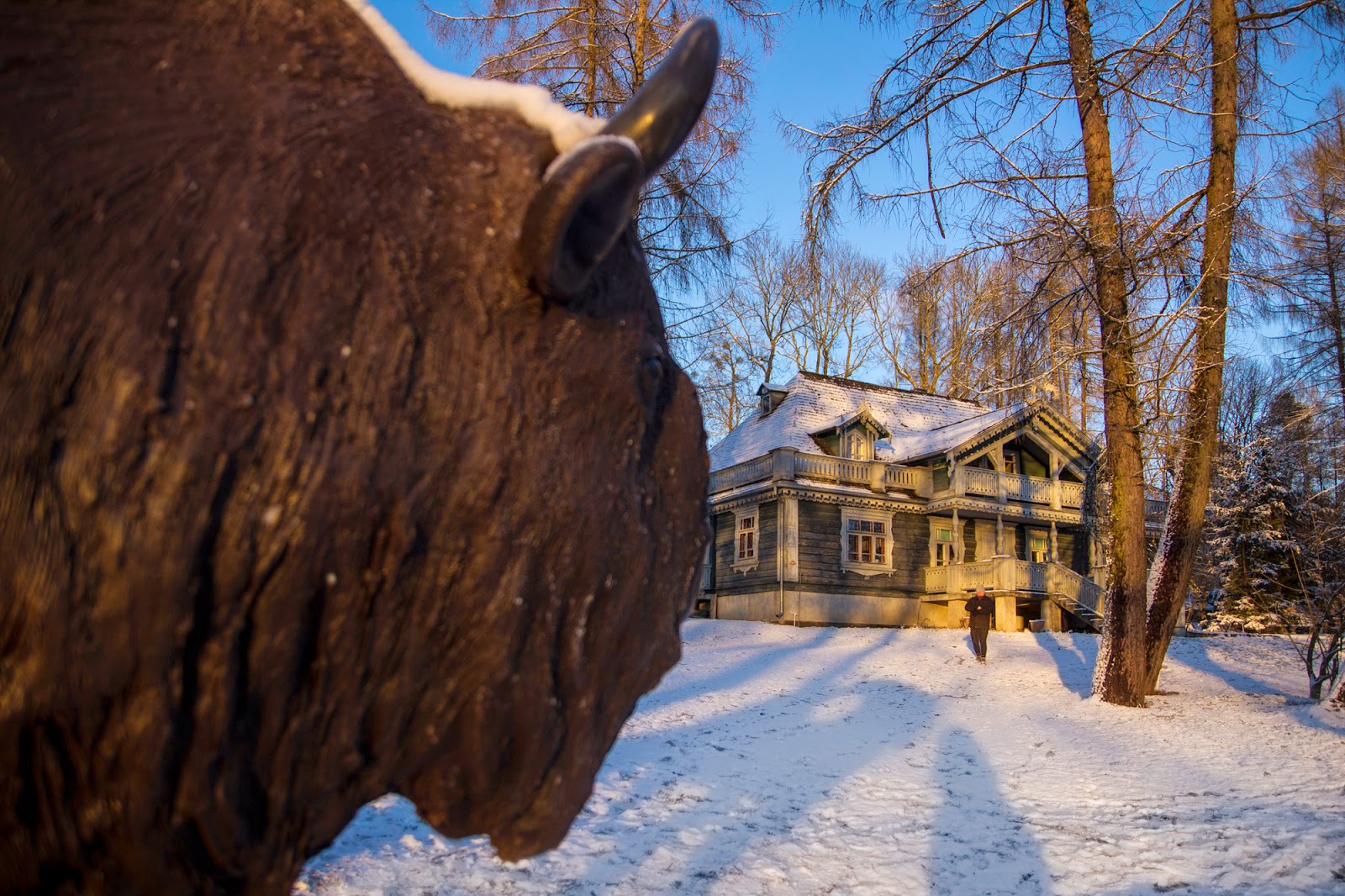 Gwiazdka w Puszczy - Ania w Podróży