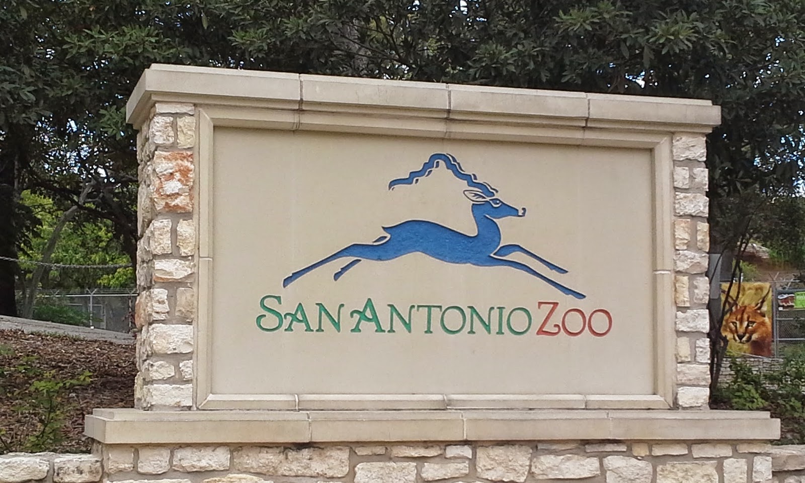Play San Antonio San Antonio Zoo