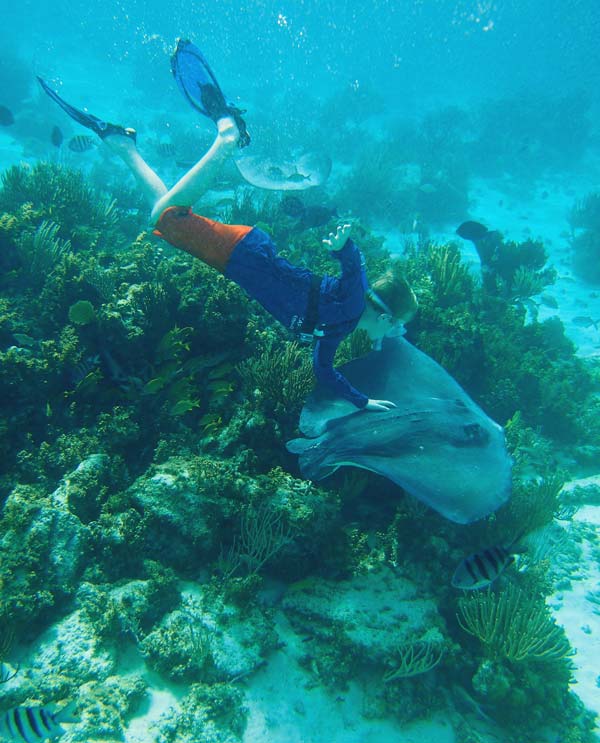 Stingray City & Snorkel Excursions in Grand Cayman IS STINGRAY CITY