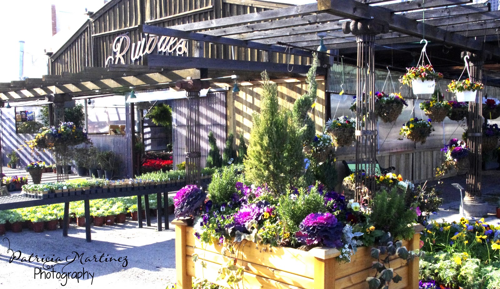 Treasure Spotters {Fresh Junk Finds} and the Dallas Farmers Market