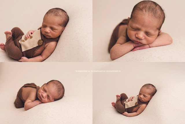 Greensboro Newborn Portraits - Jenifer Howard Studios
