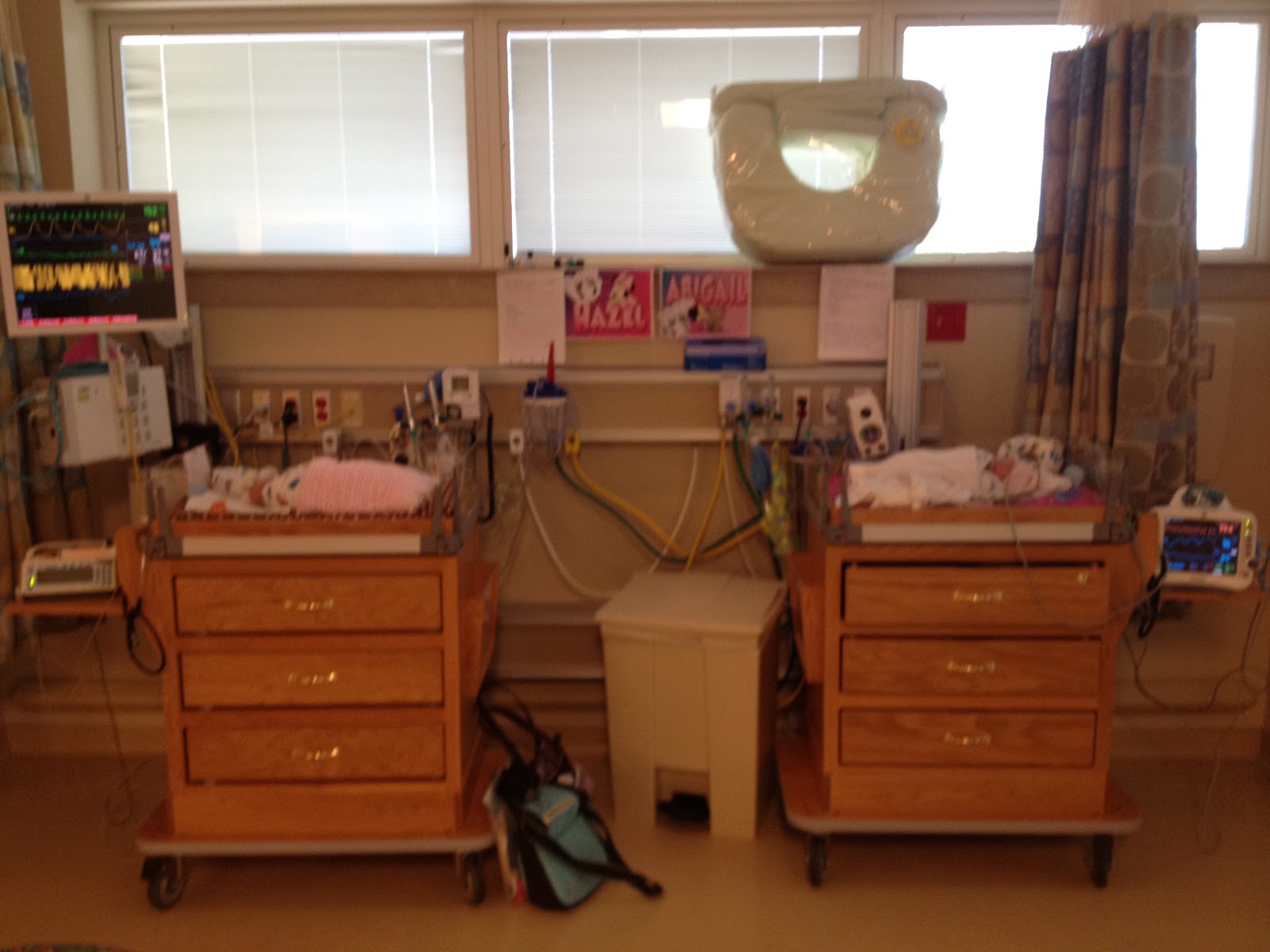 The Pair of Scates Open Cribs