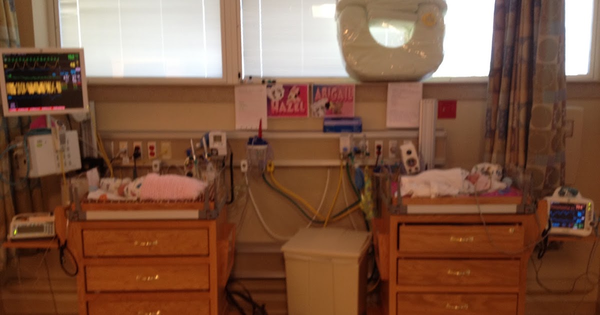 The Pair of Scates Open Cribs