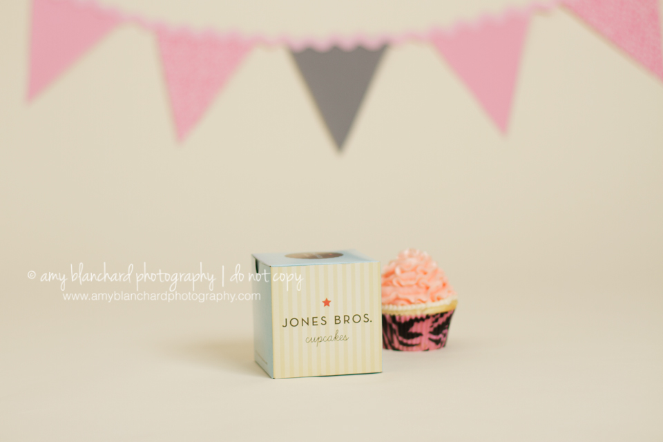 Jones Bros. Twin Cake Smash Omaha, NE Children’s Photographer » Amy
