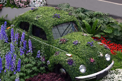 Car Covered with Grass