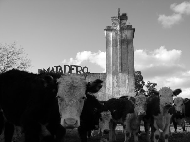 Fotos enviadas por Ezequiel Alberti, al que agradecemos su valioso aporte