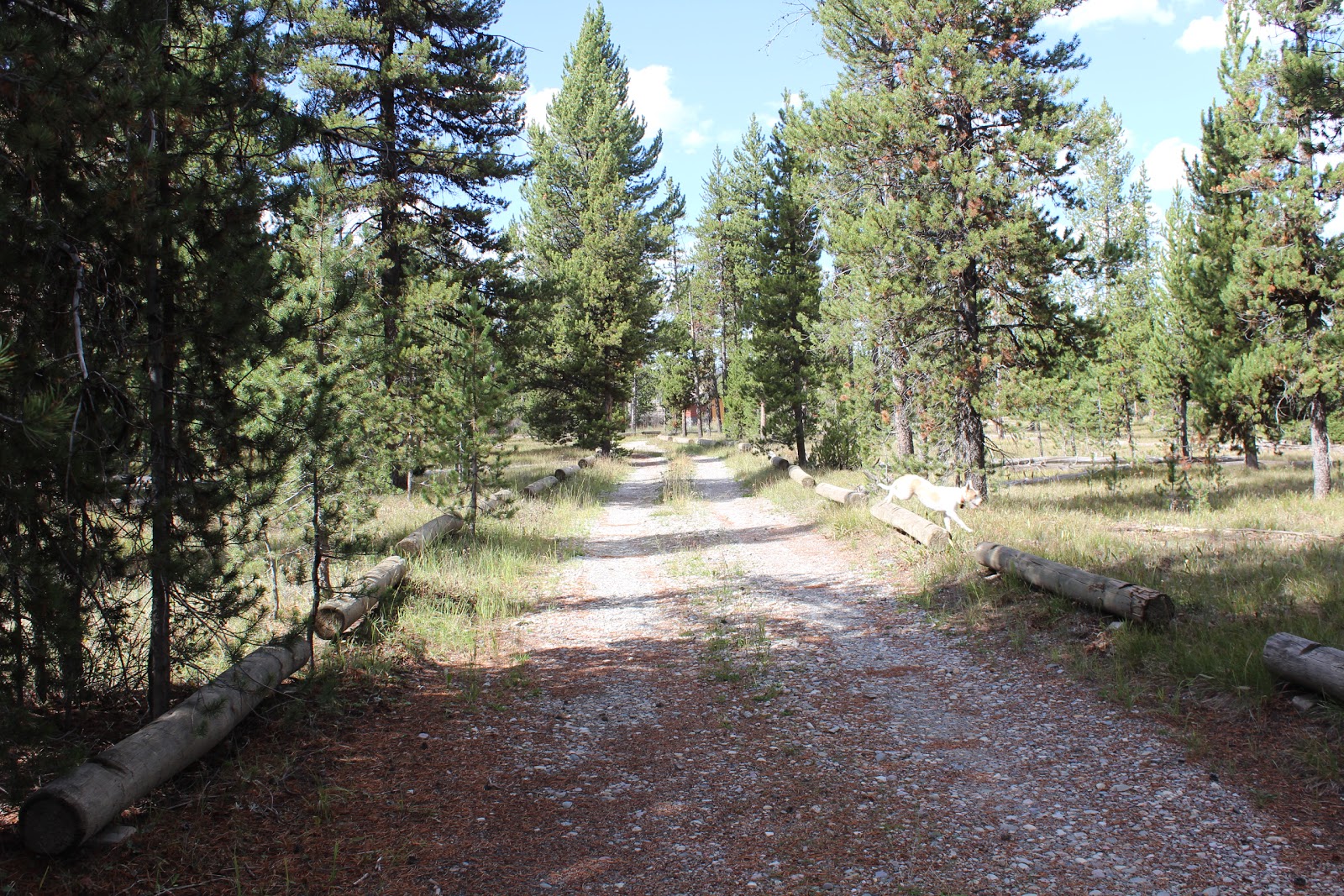 The Massey Family On the road again Camping along Grassy Lake Road in the John D. Rockefeller