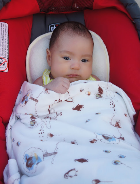 baby swaddles, nursery blankets, gauze blankets - DORIDORI BABY