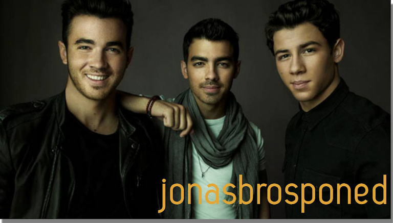 Jonas Brothers Concert Experience